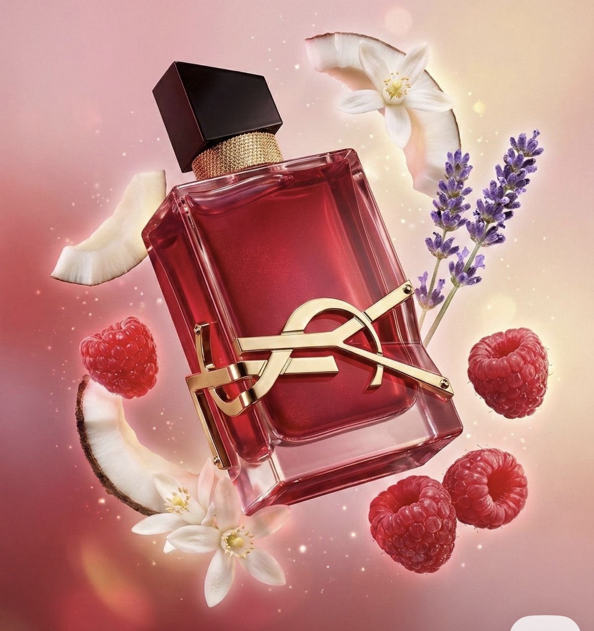 عطر ادکلن ایو سن لورن لیبر بری کراش | Yves Saint Laurent Libre Berry Crush
