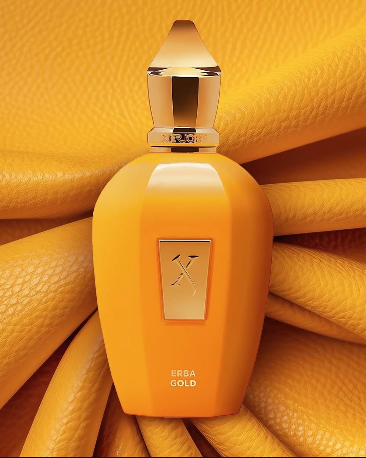 عطر ادکلن زرجف ارباگلد | Xerjoff Erba Gold